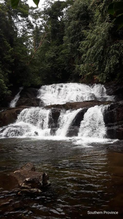 Rainforest River Edge Deniyaya Εξωτερικό φωτογραφία