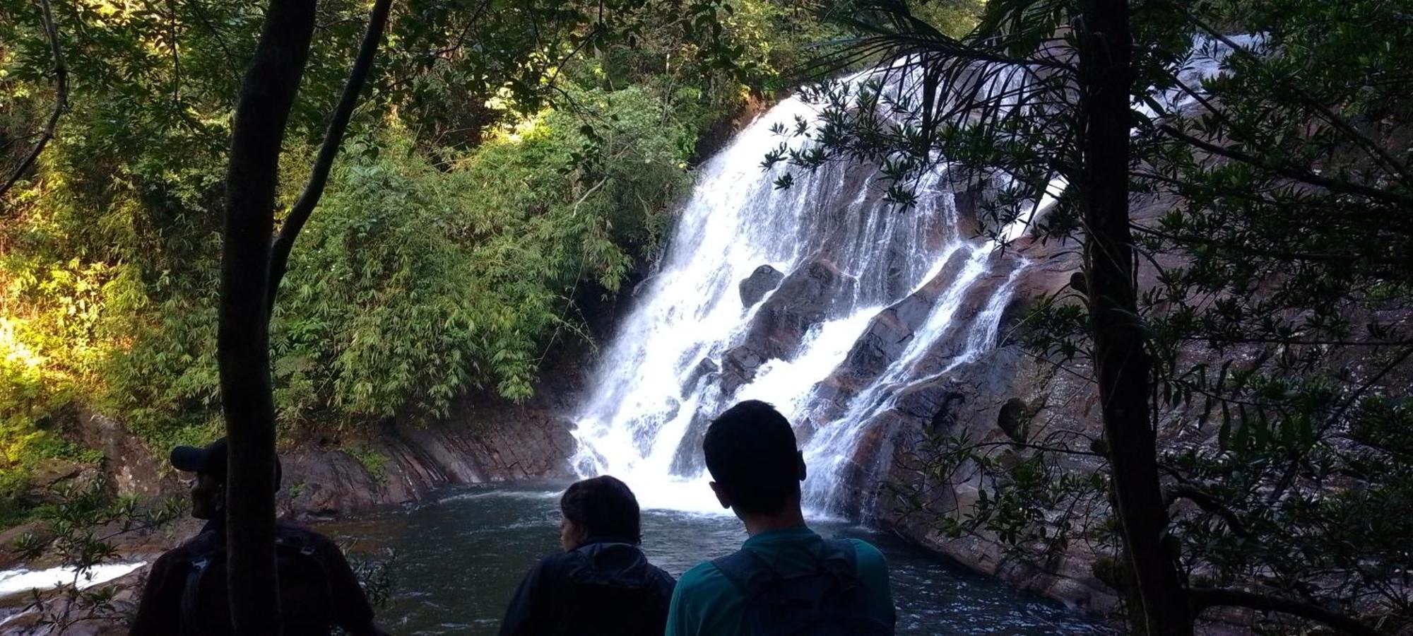 Rainforest River Edge Deniyaya Εξωτερικό φωτογραφία