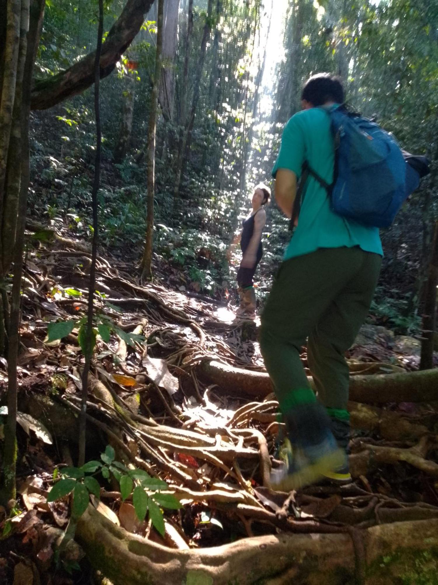 Rainforest River Edge Deniyaya Εξωτερικό φωτογραφία
